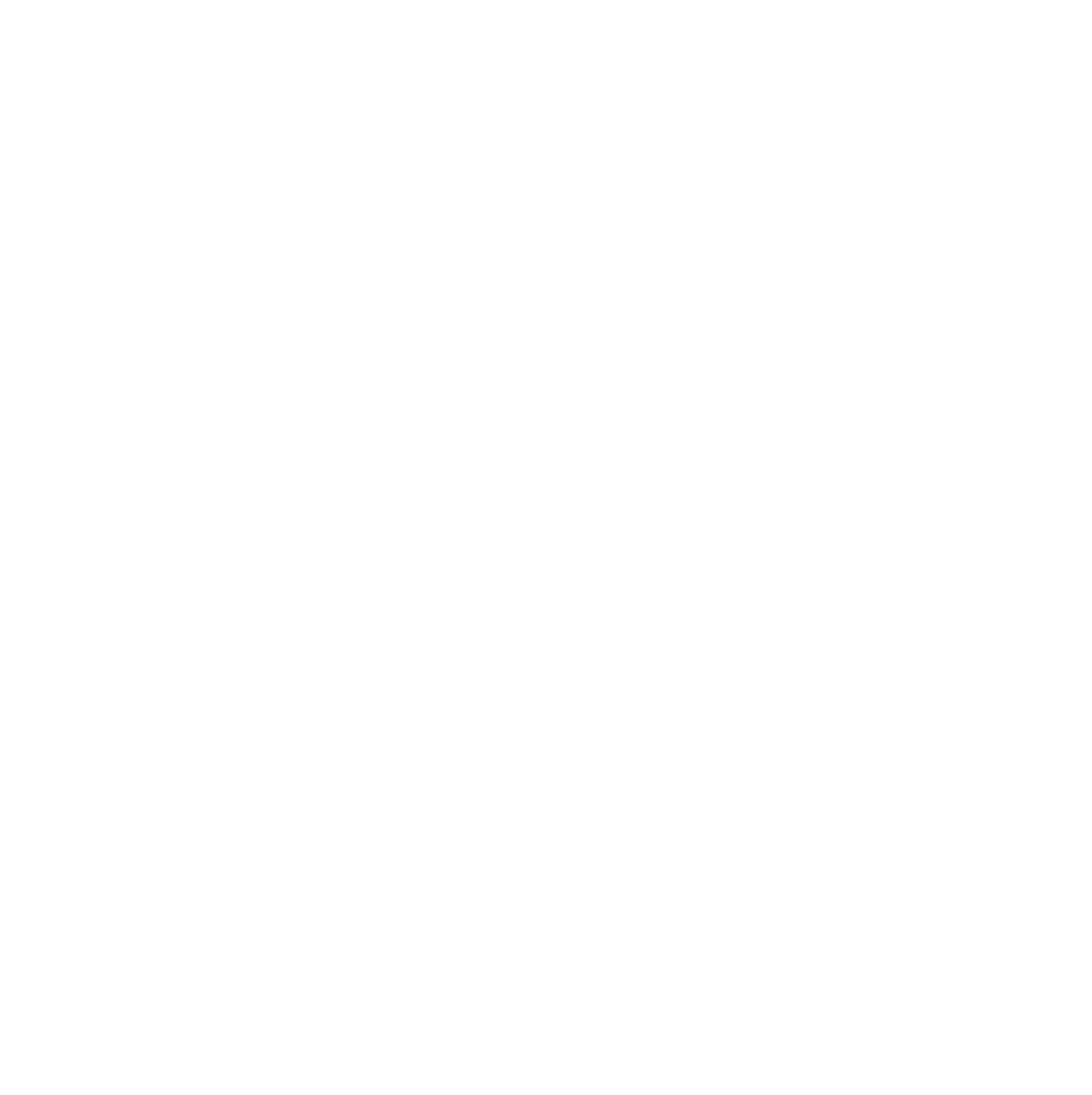 CL_LOGO_WEISS-02 Kopie